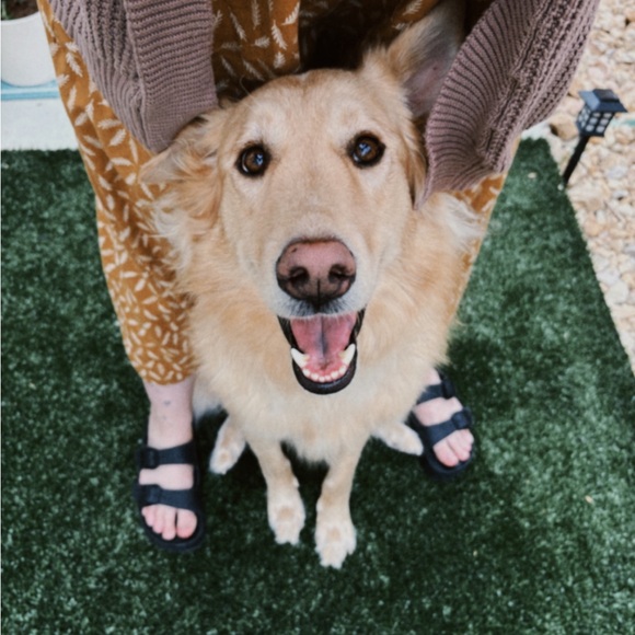 Meet your Posher, Cece - Picture 2 of 8